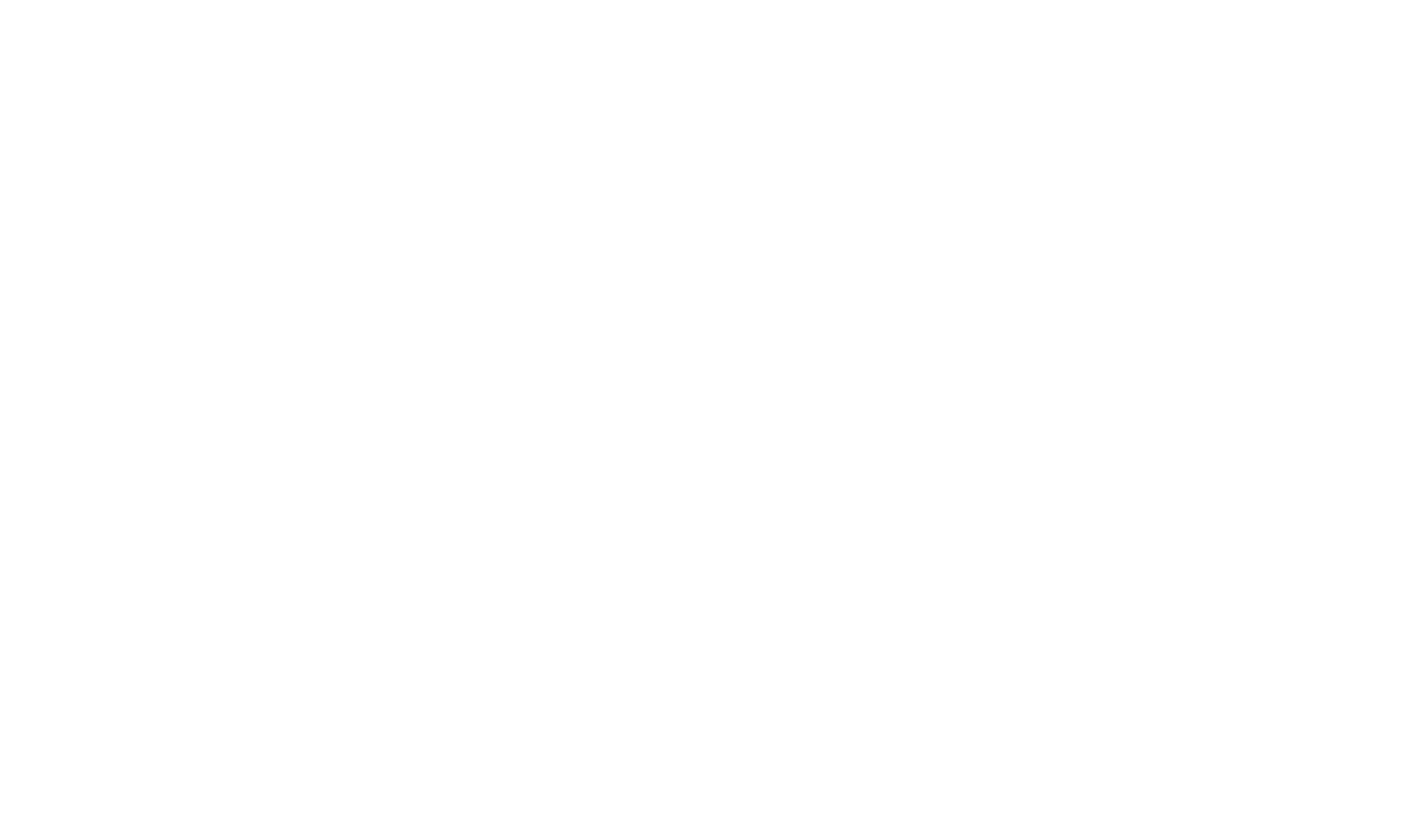 Fundacion Chile