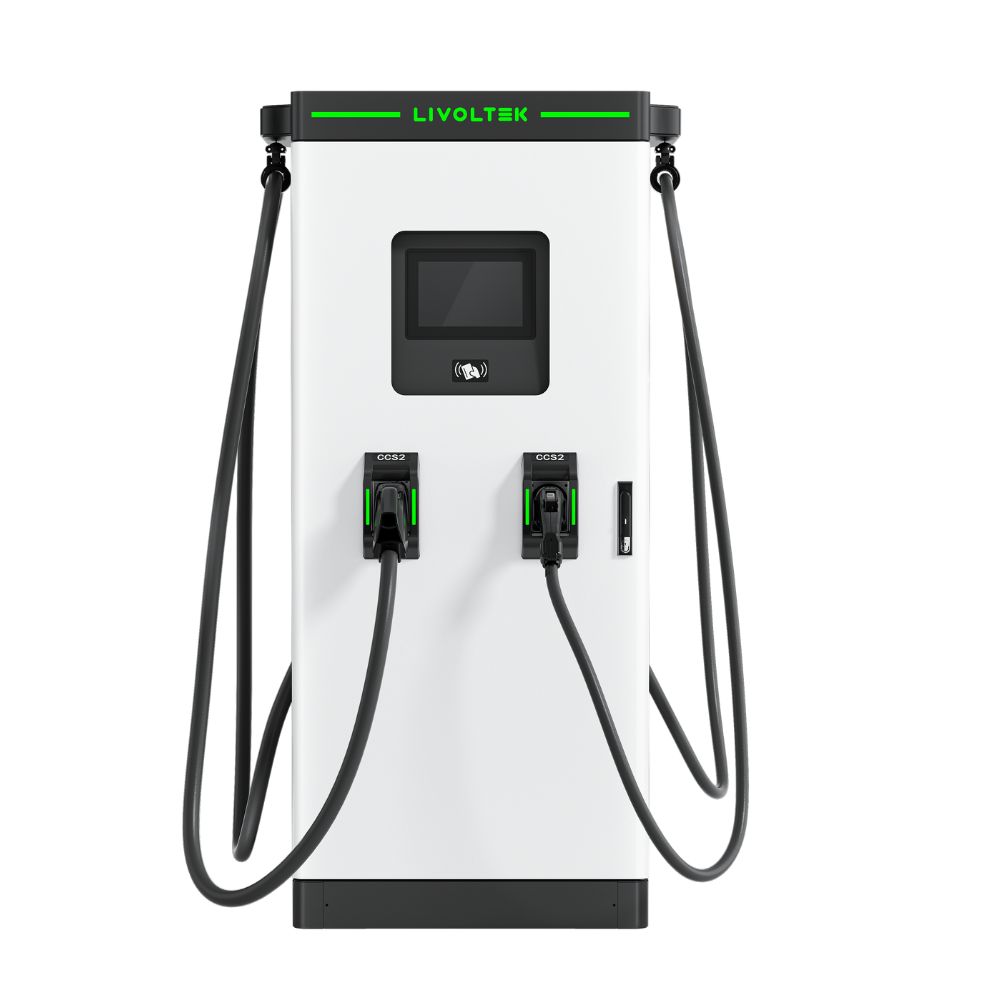 Cargador DC 30kW