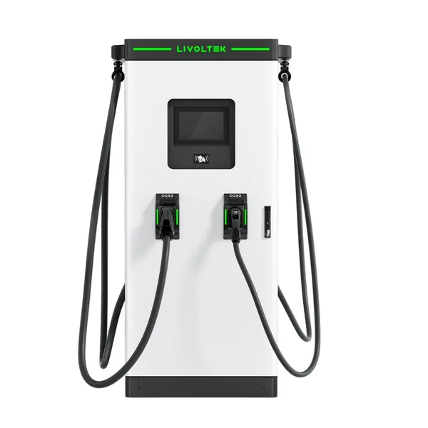 Cargador DC 30kW